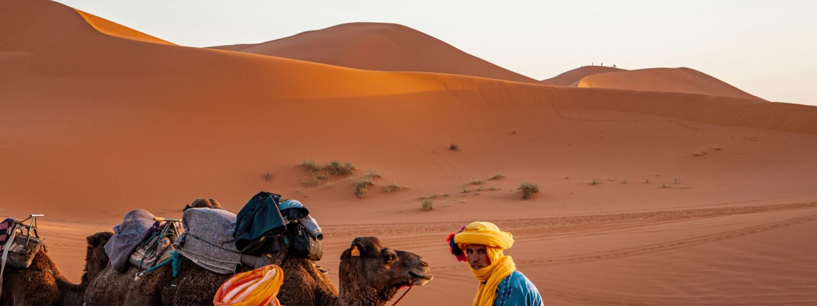 Sahara Desert merzouga