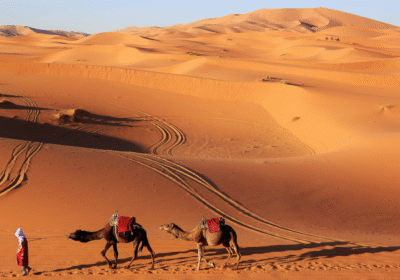 Merzouga Desert Tour From Marrakech: Ultimate Sahara Adventure